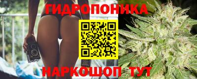 крисы Сланцы