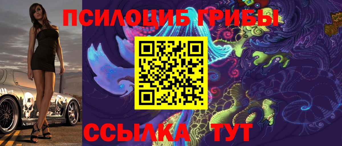Псилоцибиновые грибы мухоморы Борисоглебск